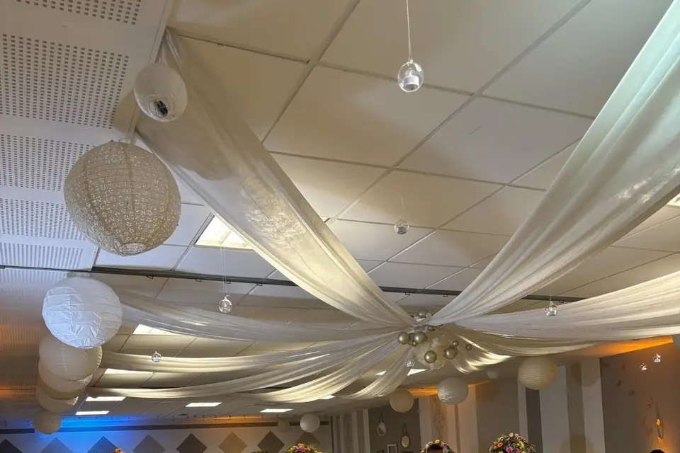 Showmust — photo 2