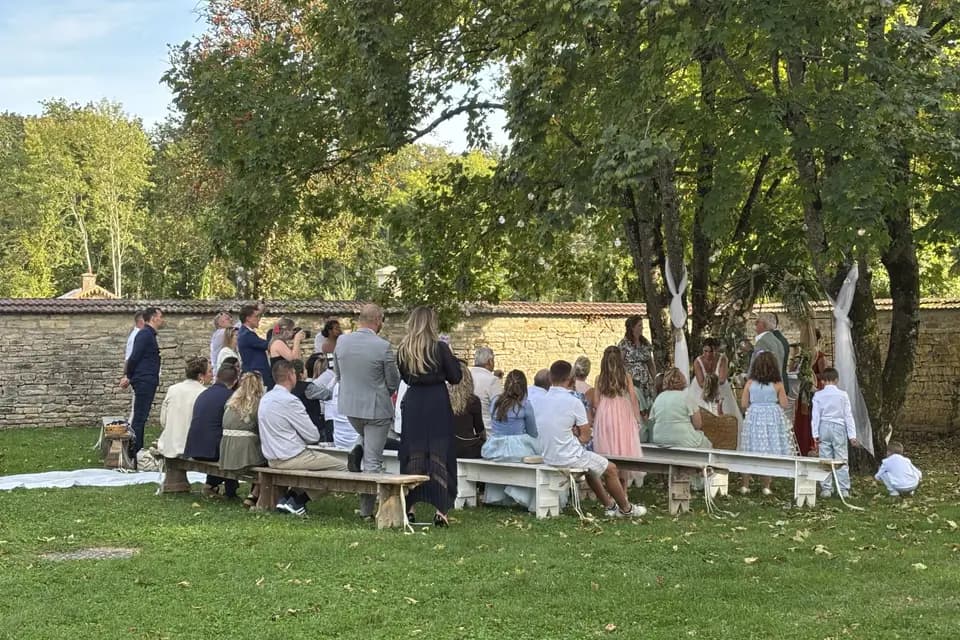 Showmust — photo 3