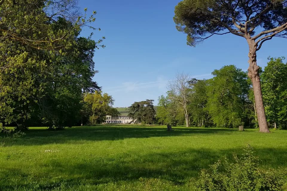 Château Saint Denis — photo 7
