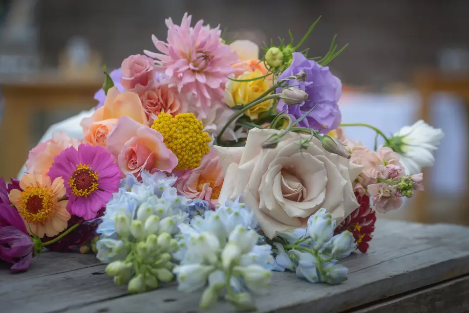 Noémie Legrand — photo 8