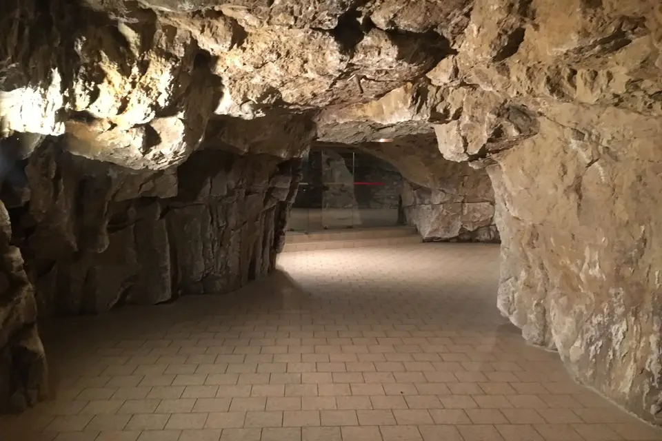 La Dive Bouteille — photo 8