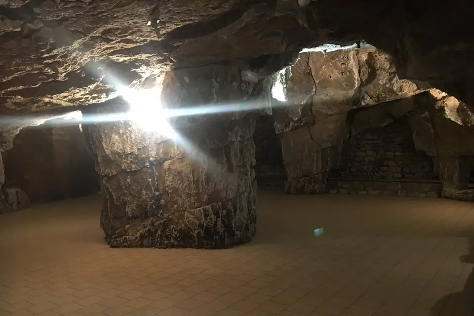 La Dive Bouteille — photo 4