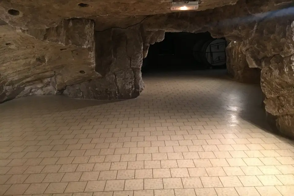 La Dive Bouteille — photo 3