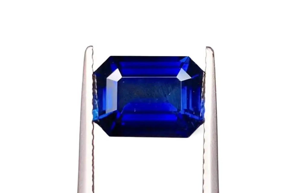 Seewatch — photo 2