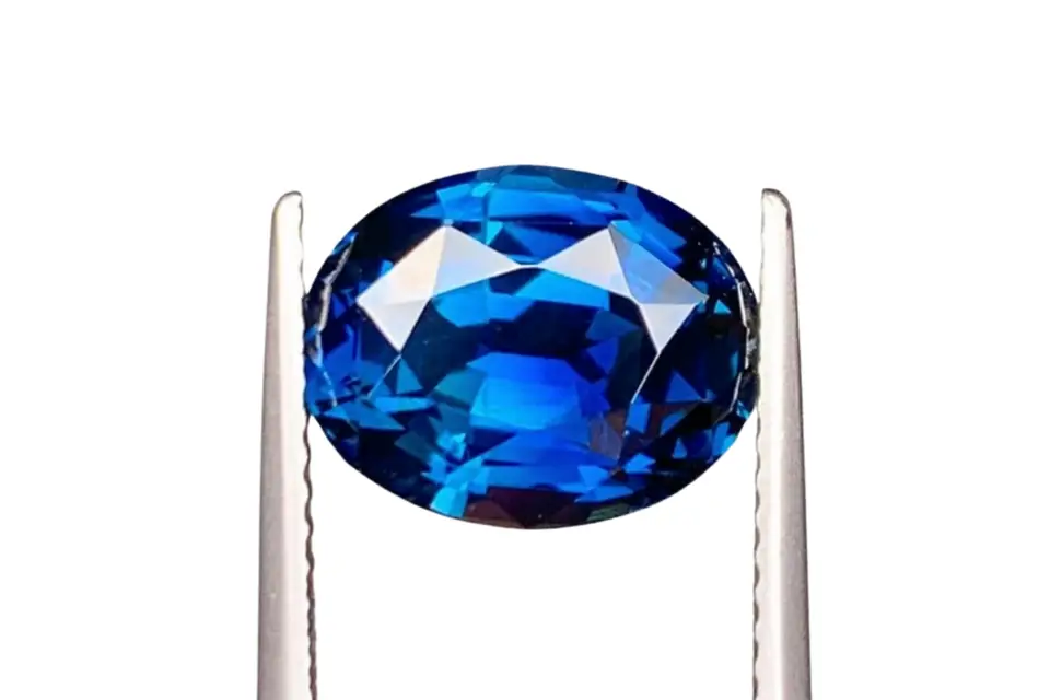 Seewatch — photo 3