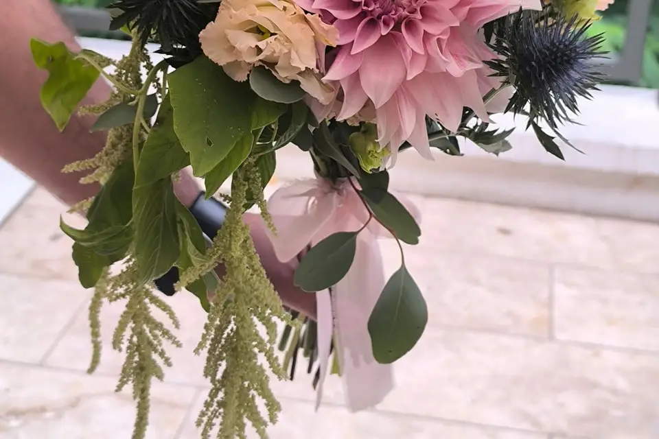 Graines d'Automne — photo 3