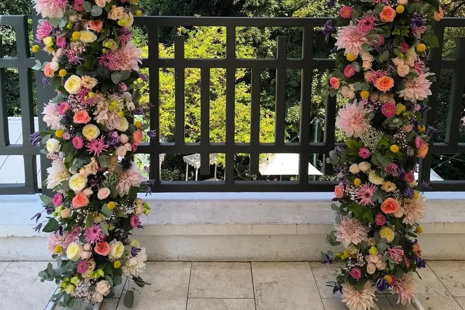 Graines d'Automne — photo 2