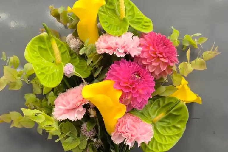 Graines d'Automne — photo 6