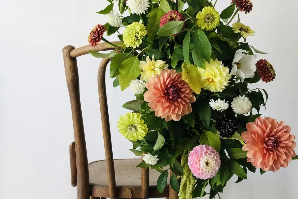 Les Trésors de Delphine — photo 1