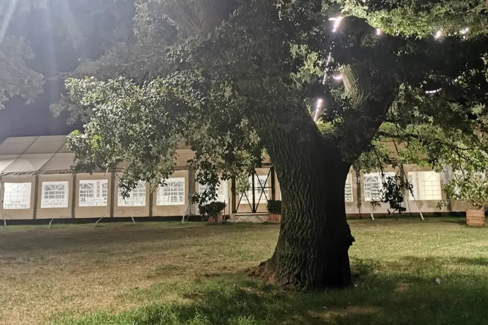 Le Clos du Chêne Vert — photo 5