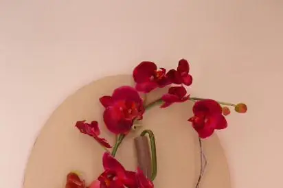 Atelier Fleur en Fête — photo 6