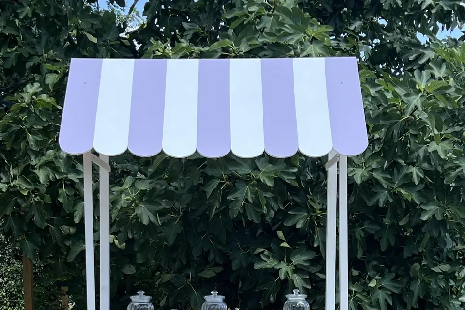 Nuance Festive — photo 2