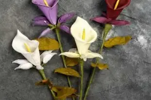 Dragée d'Amour — photo 4