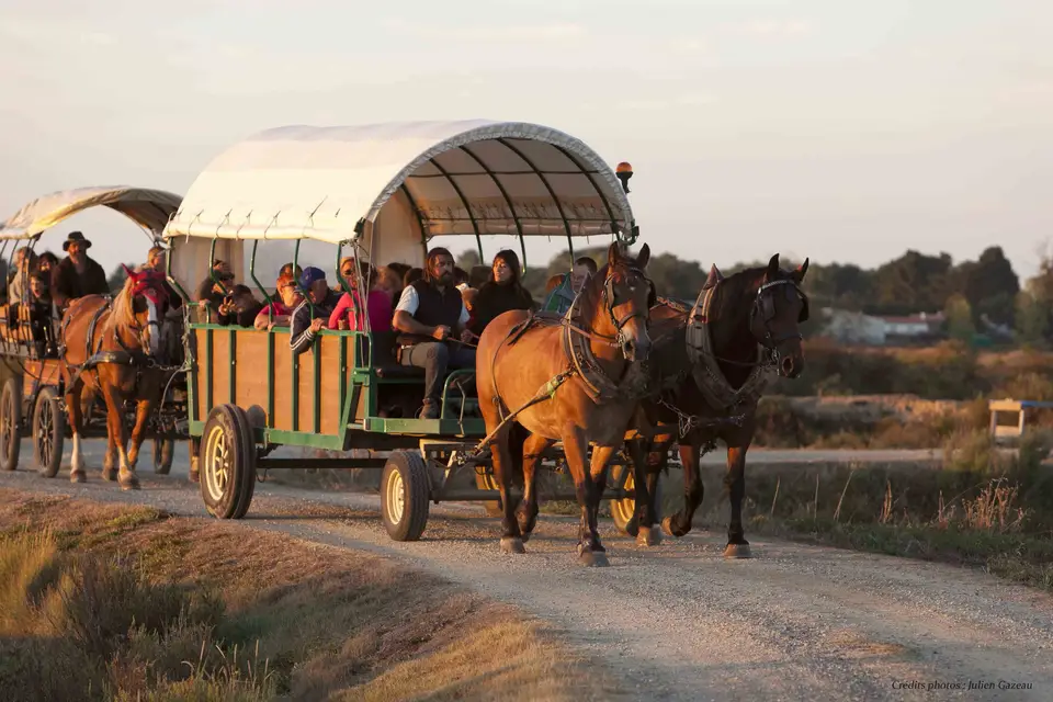 Attelage de la Vie — photo 4