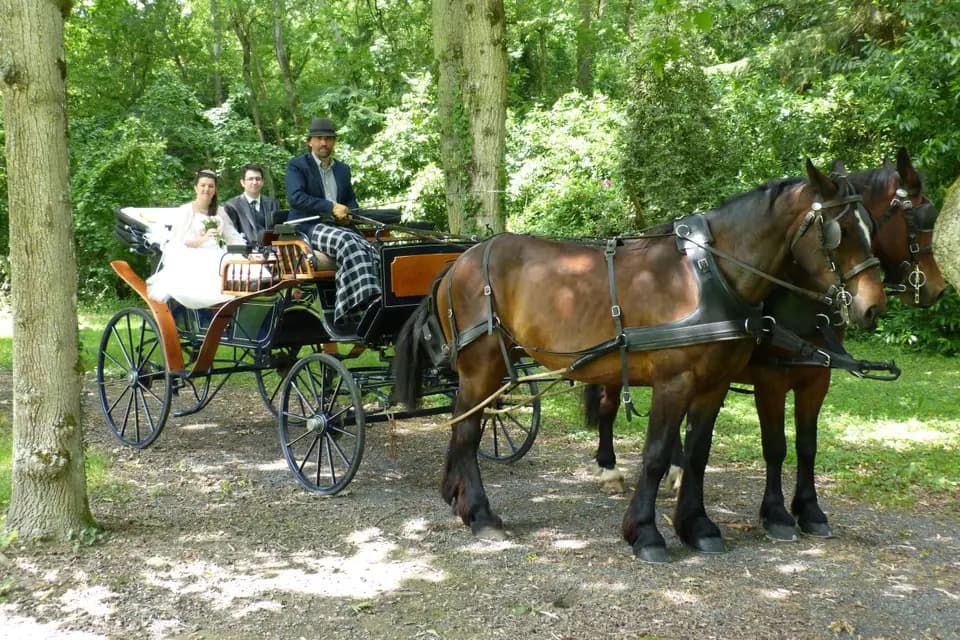 Attelage de la Vie — photo 1