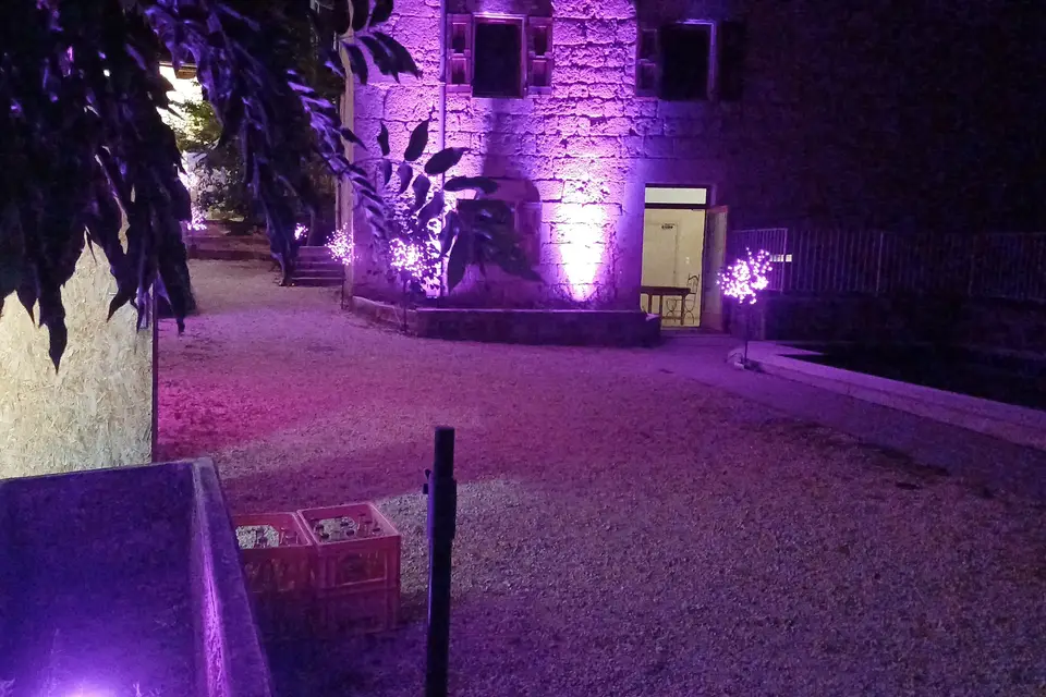 Zarzic Event — photo 6