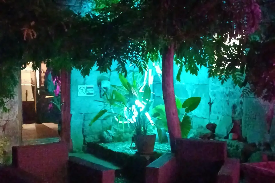 Zarzic Event — photo 4