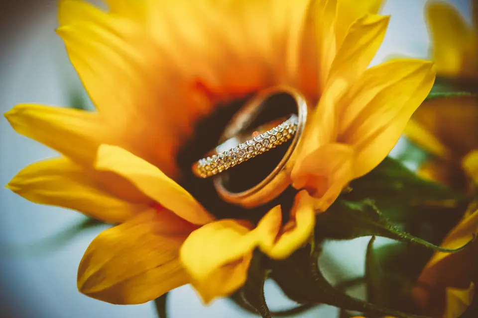 P.S I Love You — photo 3