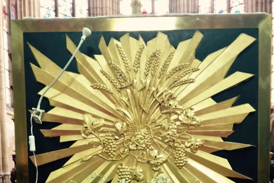 NataliaCapela — photo 2