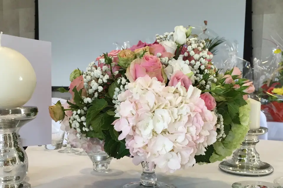 NataliaCapela — photo 1