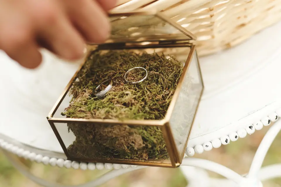 M.A la folie — photo 5