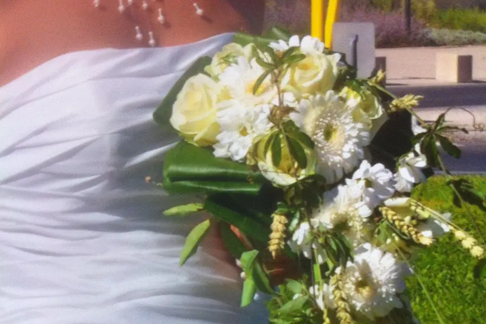 L'Univers de Romy — photo 4