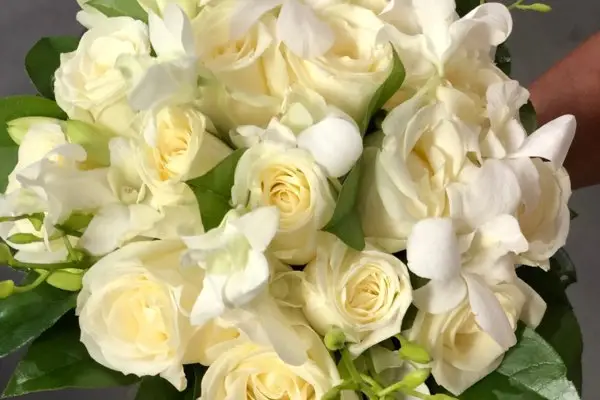 L'Univers de Romy — photo 5