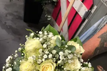 L'Univers de Romy — photo 2