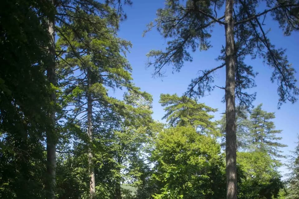 Château des Lèbres — photo 2