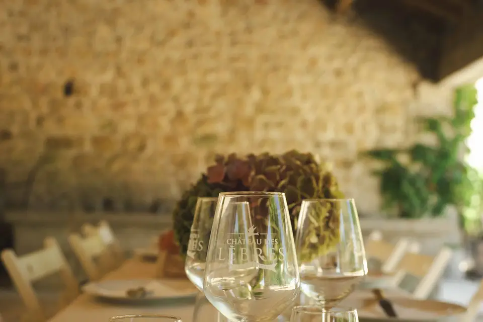 Château des Lèbres — photo 8