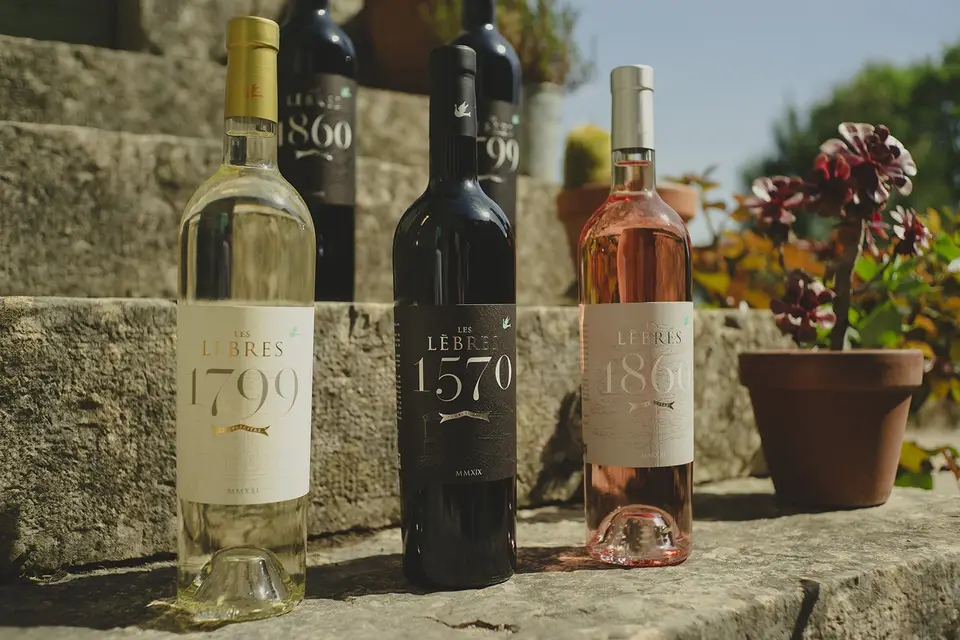 Château des Lèbres — photo 4