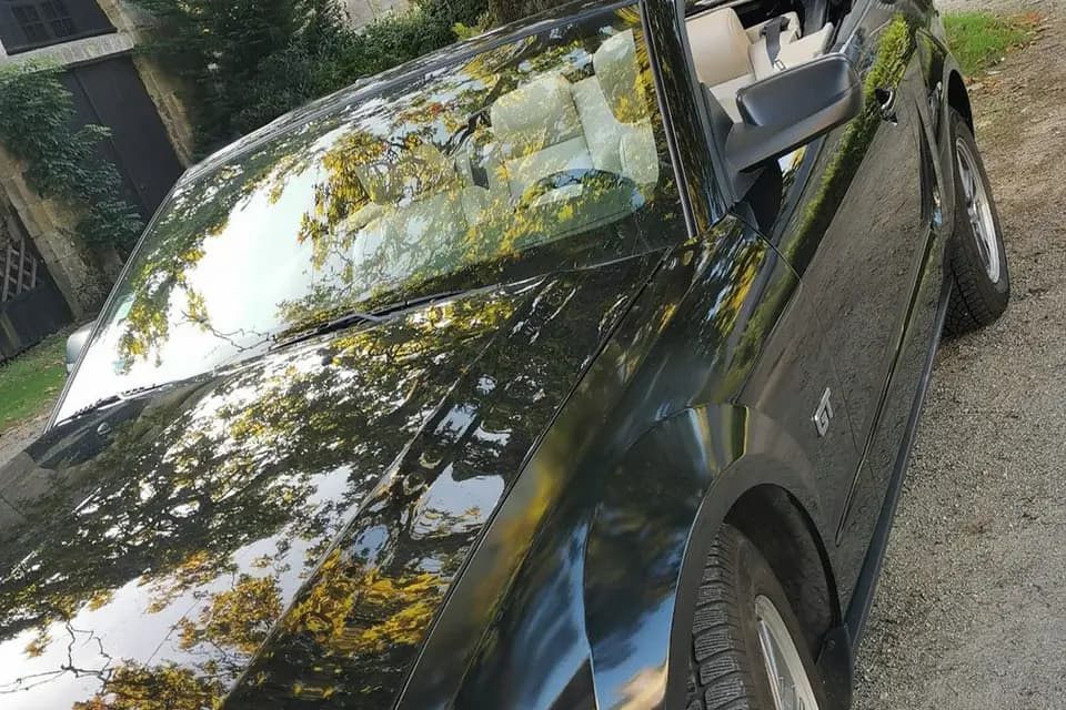 Gilles Hoebeke — photo 2