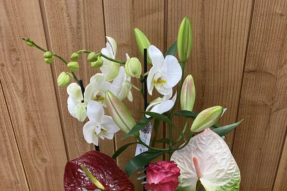 Mille Créations — photo 7