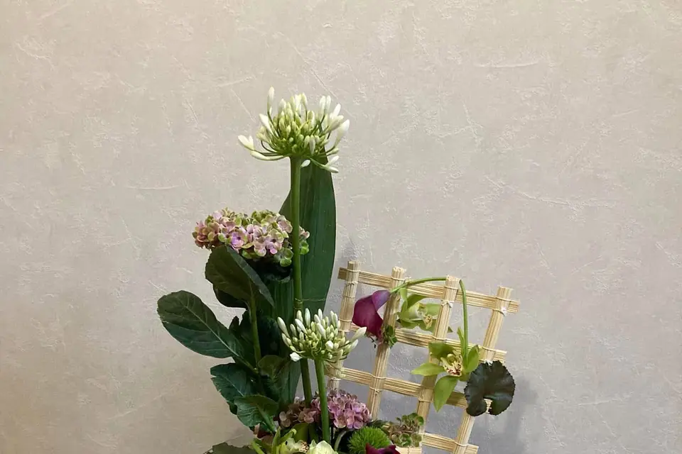 Mille Créations — photo 4