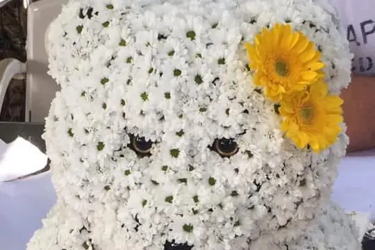 Mille Créations — photo 3