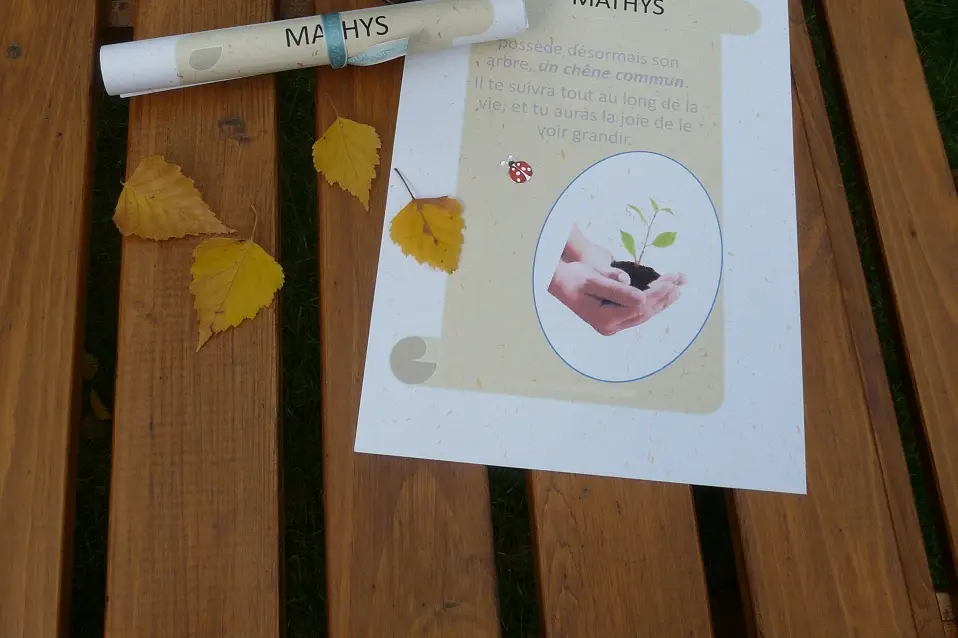 L'Arbre Symbolique — photo 3