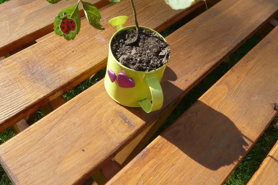 L'Arbre Symbolique — photo 2