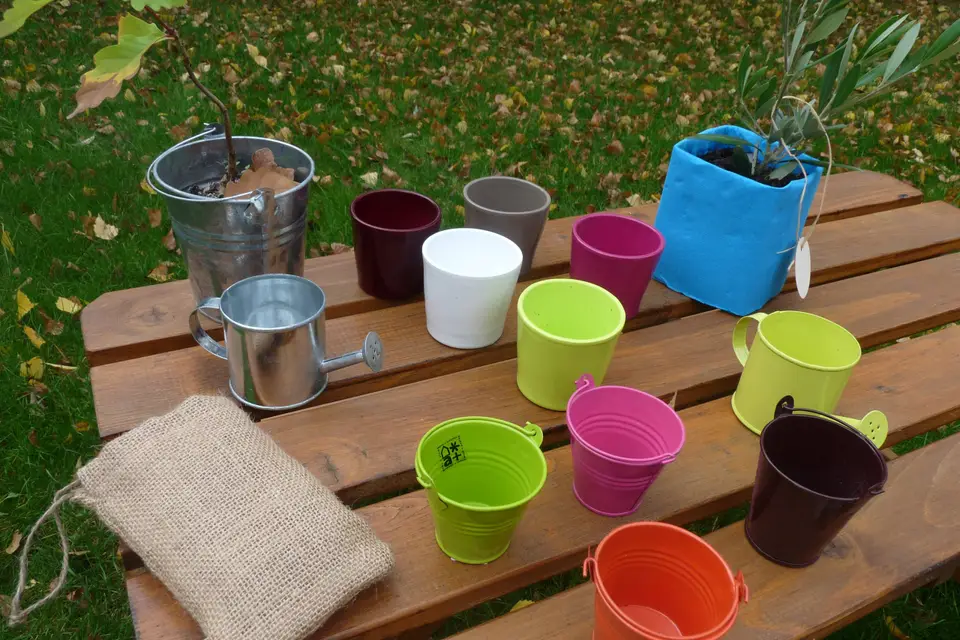 L'Arbre Symbolique — photo 4