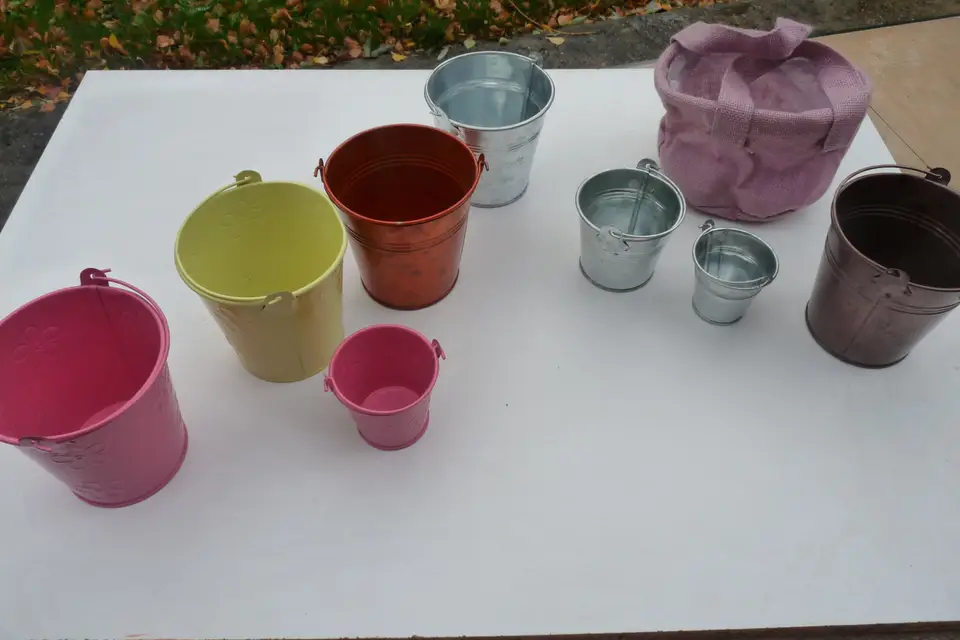 L'Arbre Symbolique — photo 5