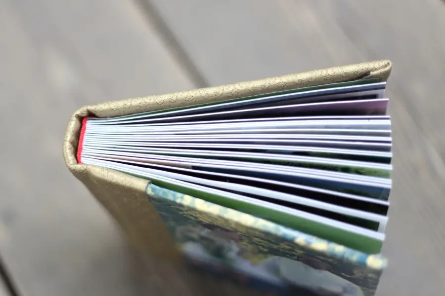 Les couleurs de Fred — photo 7