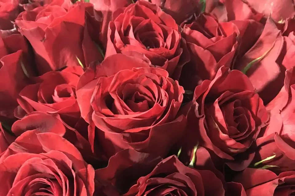 SLM Event — photo 7