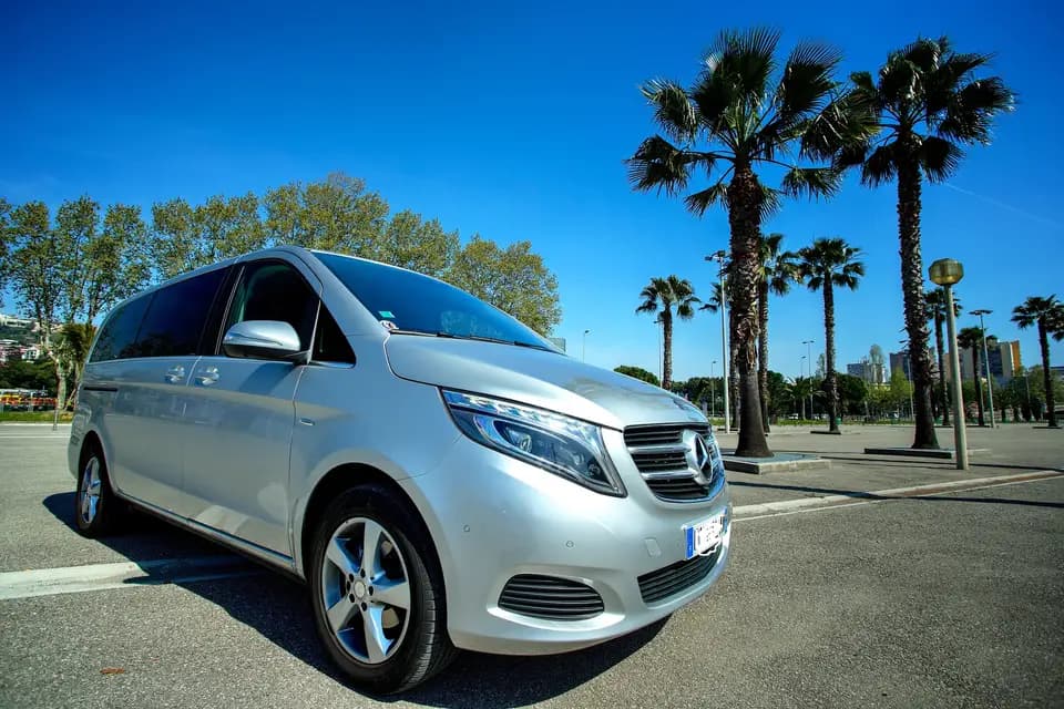 Robert Transfert — photo 5