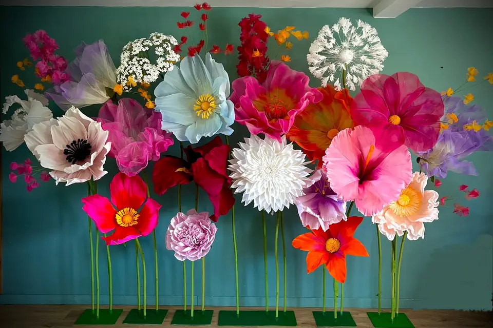 Jolis Songes — photo 1