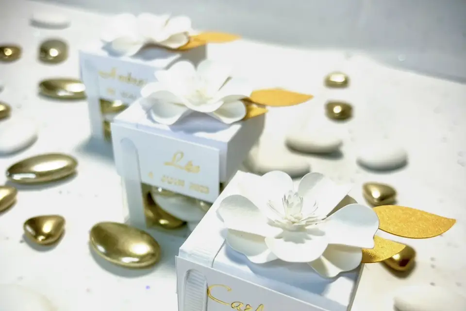 Jolis Songes — photo 5