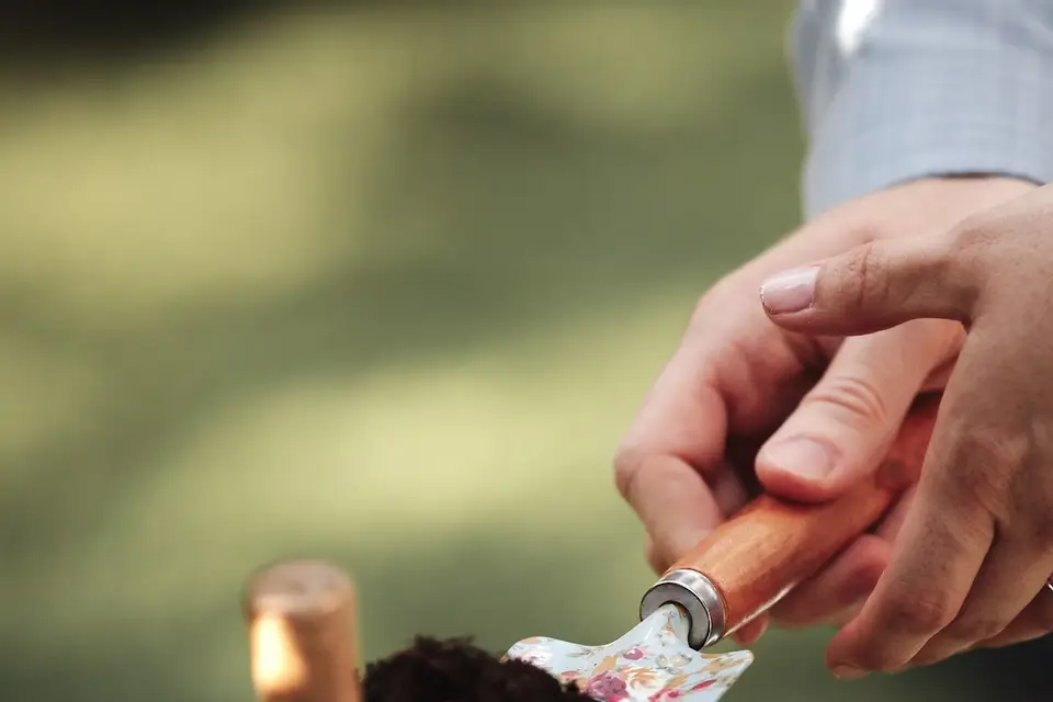 Calia - Manucure Russe — photo 2