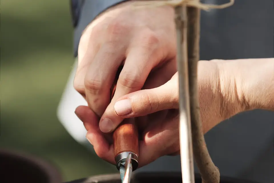 Calia - Manucure Russe — photo 1