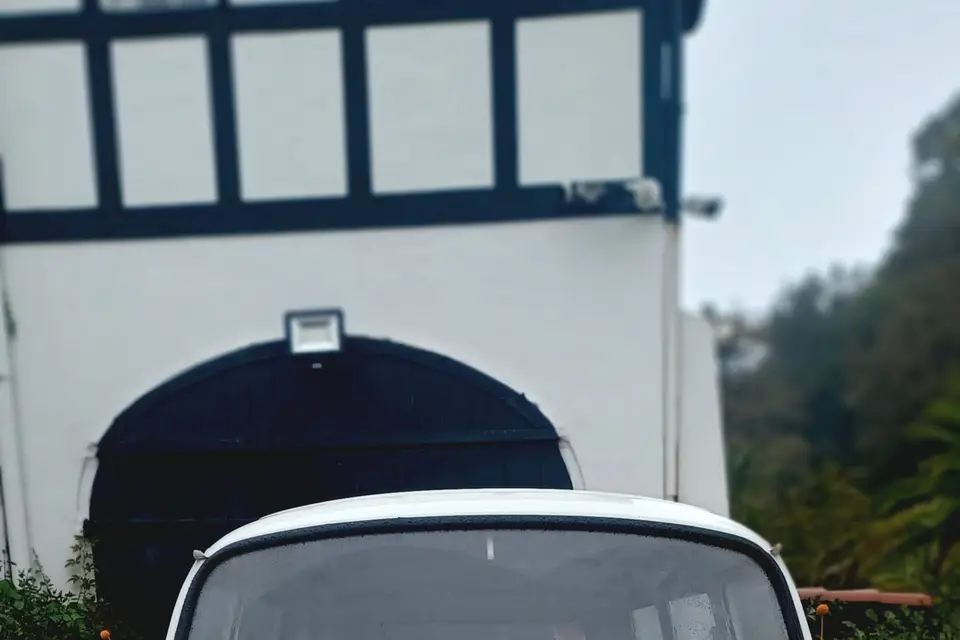 Amatxi Dans Les Orties — photo 6