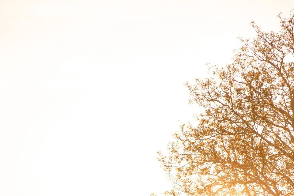 Thynea Photography — photo 7