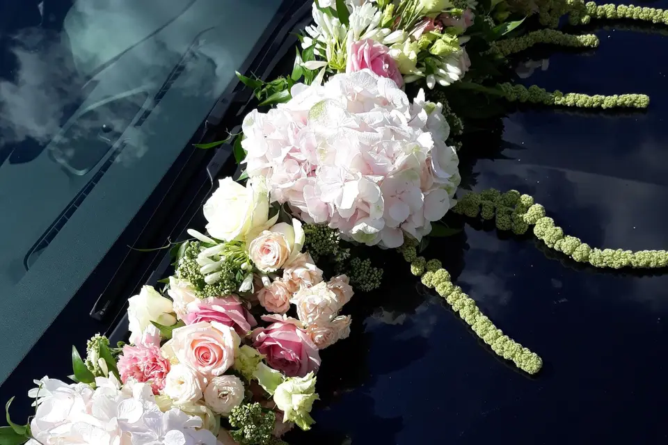 MV Fleuriste — photo 2