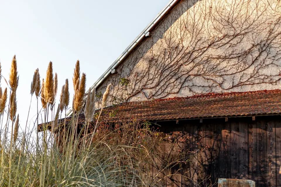 Julien Hugo — photo 6